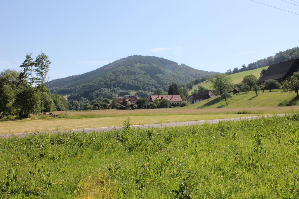 Haus Traudel Matt Hotel Elzach Exterior photo